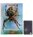 Straarup & Co Buch Sampak - Spielen & Lesen - Spinnen Straarup & Co Buch Sampak - Spielen & Lesen - Spinnen