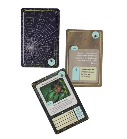 Straarup & Co Sampak - Jeu & Read - Araignées Straarup & Co Sampak - Jeu & Read - Araignées