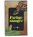 Straarup & Co Kortspil - Spil & Læs - Farlige Slanger