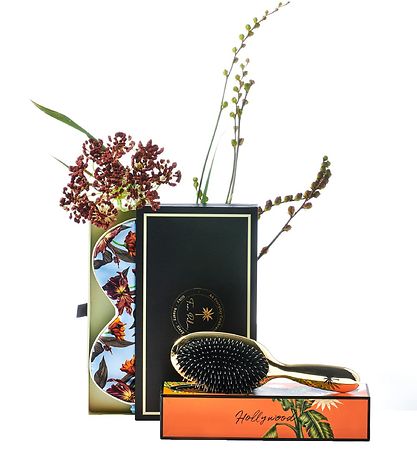 Fan Palm Hårbørste - Medium - Hollywood