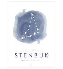Citatplakat Plakat - A3 - Stjernebillede - Stenbuk - Blå Citatplakat Plakat - A3 - Stjernebillede - Stenbuk - Blå