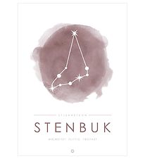 Citatplakat Plakat - A3 - Stjernebillede - Stenbuk - Lyserød Citatplakat Plakat - A3 - Stjernebillede - Stenbuk - Lyserød