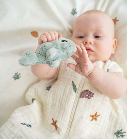 Done by Deer Rangle - 14x8 cm - Wally Blue