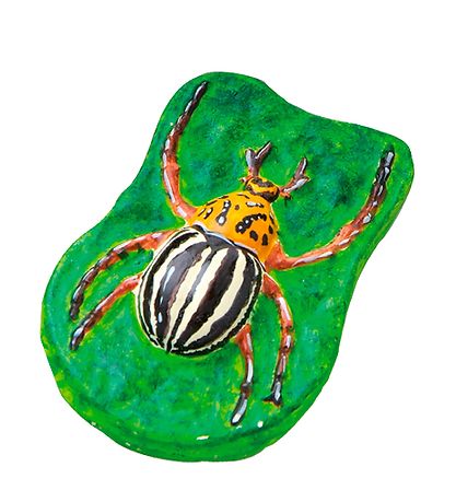 SES Creative - Støb & Mal - Lyser i Mørket - Insekter SES Creative - Støb & Mal - Lyser i Mørket - Insekter