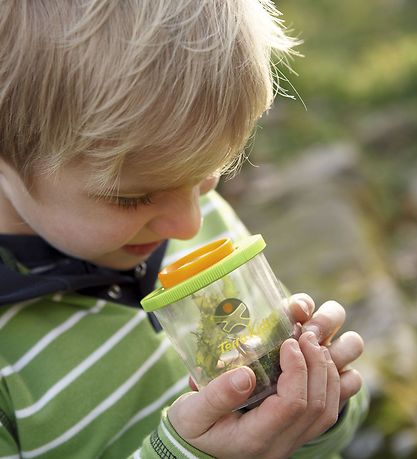 Haba Terra Kids Legetøj - Insektglas
