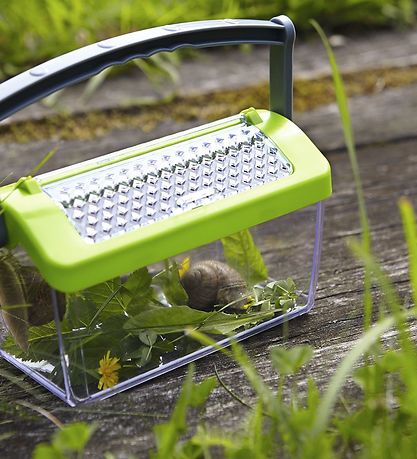 Haba Terra Kids Legetøj - Insektboks