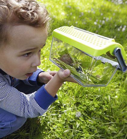 Haba Terra Kids Legetøj - Insektboks Haba Terra Kids Legetøj - Insektboks