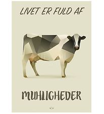 Hipd Poster - 50x70 - Cow Hipd Poster - 50x70 - Cow