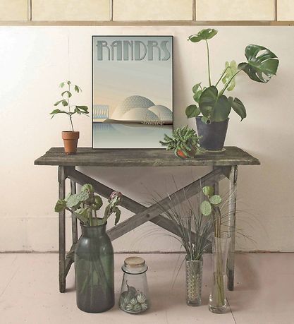 Vissevasse Poster - 30x40 - Randers - Rainforest Vissevasse Poster - 30x40 - Randers - Rainforest
