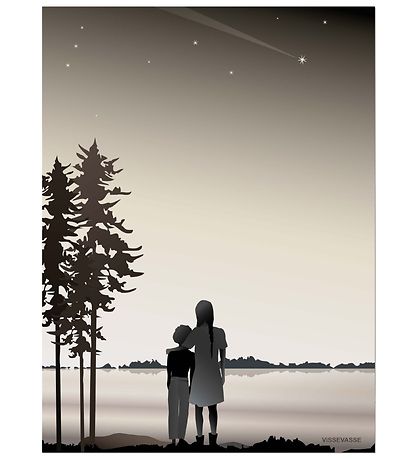 Vissevasse Poster - 30x40 - Friends